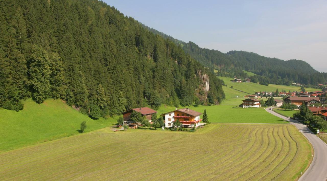 Lippnerhof Apartment Aschau Im Zillertal Exterior photo