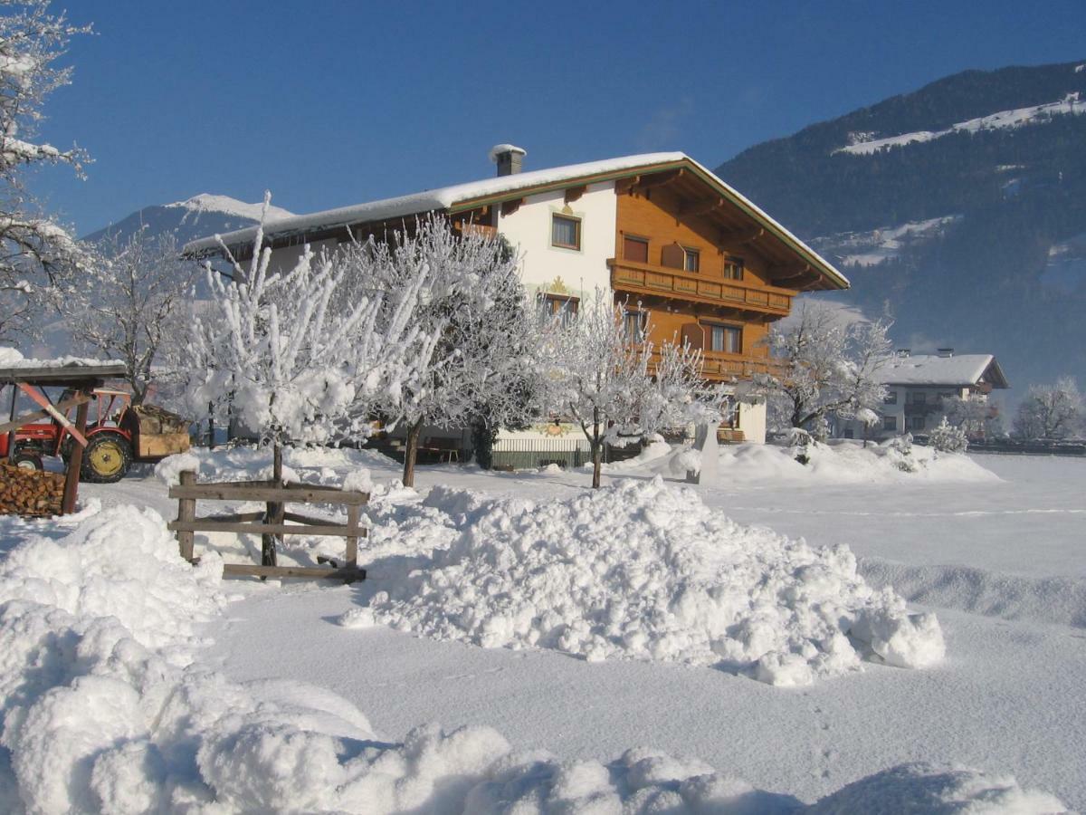 Lippnerhof Apartment Aschau Im Zillertal Exterior photo