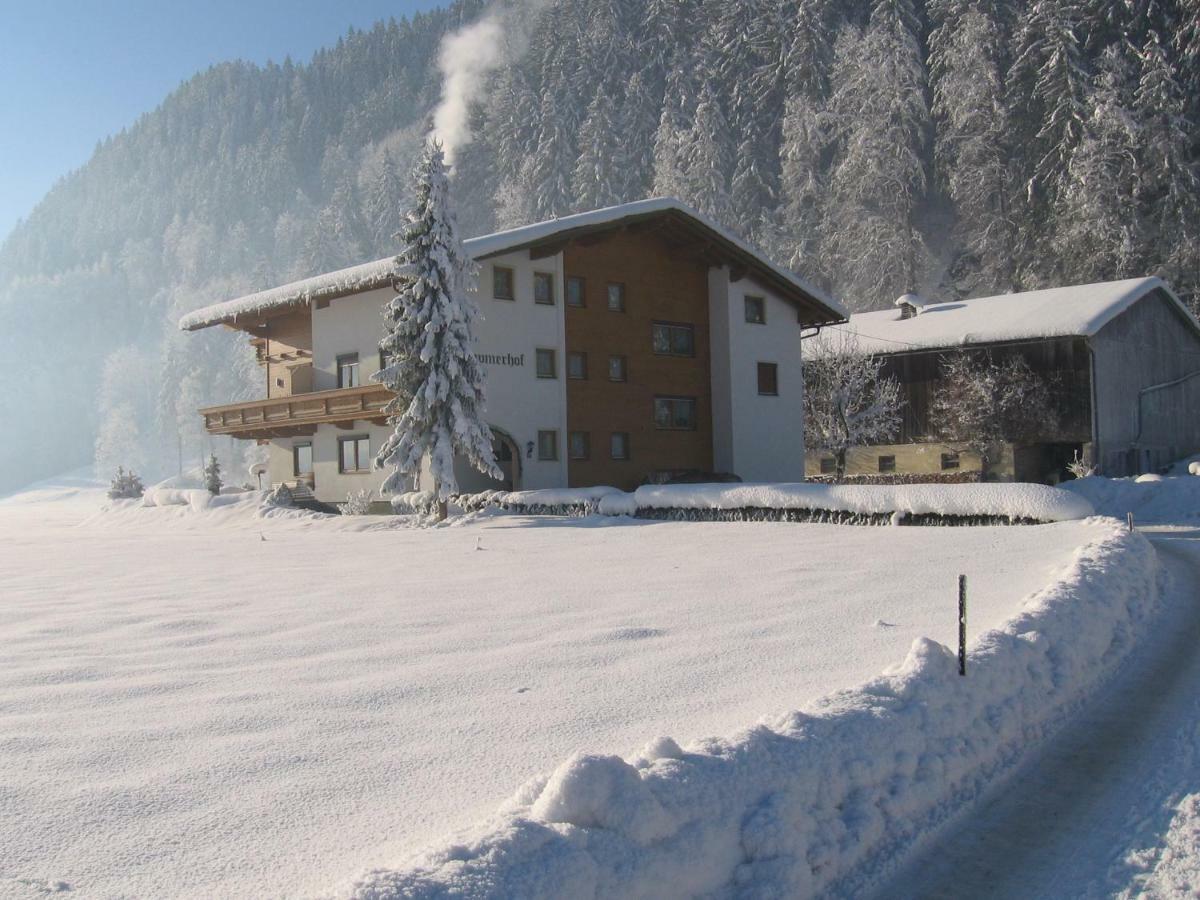 Lippnerhof Apartment Aschau Im Zillertal Exterior photo